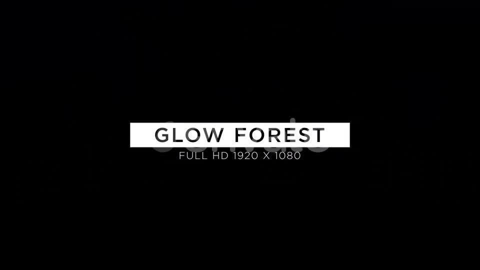 Glow Forest VJ Loops Background Videohive 23050926 Motion Graphics Image 11