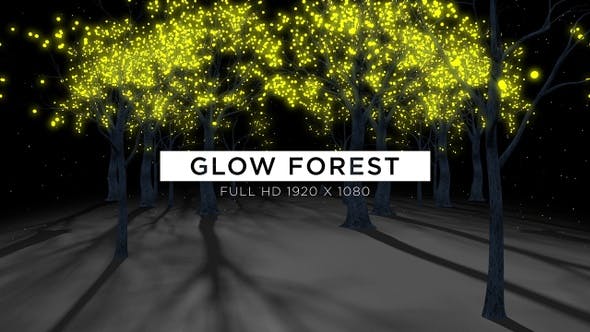Glow Forest VJ Loops Background - Videohive Download 23050926