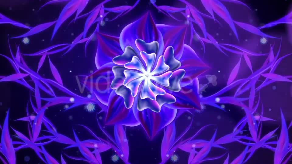 Glowing Flower Videohive 20758172 Motion Graphics Image 1