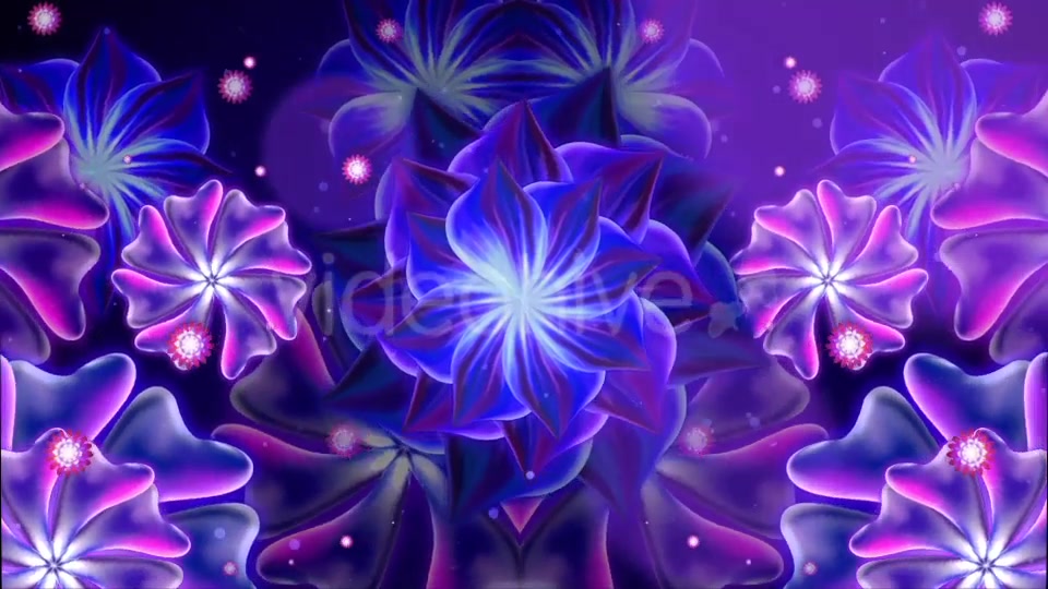 Glowing Flower Videohive 20758172 Motion Graphics Image 3