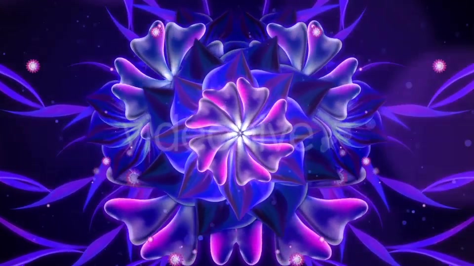 Glowing Flower Videohive 20758172 Motion Graphics Image 4