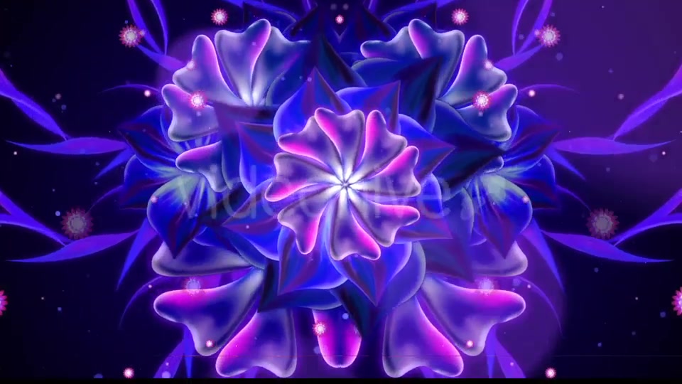 Glowing Flower Videohive 20758172 Motion Graphics Image 5