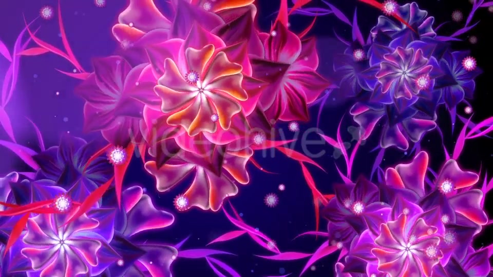 Glowing Flower Videohive 20758172 Motion Graphics Image 6