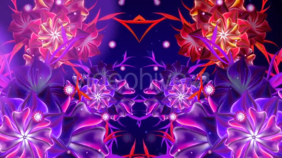 Glowing Flower Videohive 20758172 Motion Graphics Image 7
