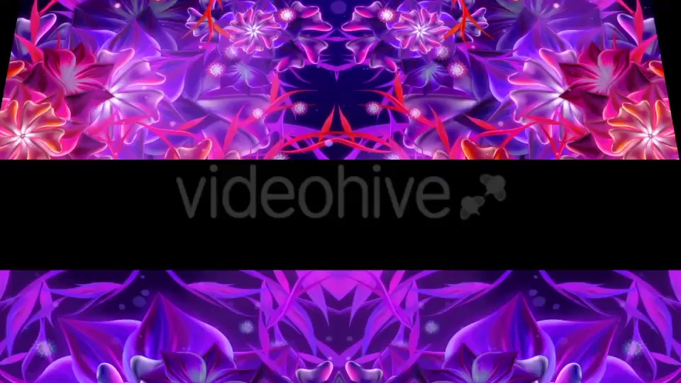 Glowing Flower Videohive 20758172 Motion Graphics Image 8