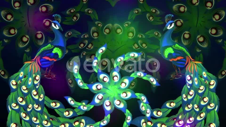 Glowing Peacock Videohive 22199887 Motion Graphics Image 1