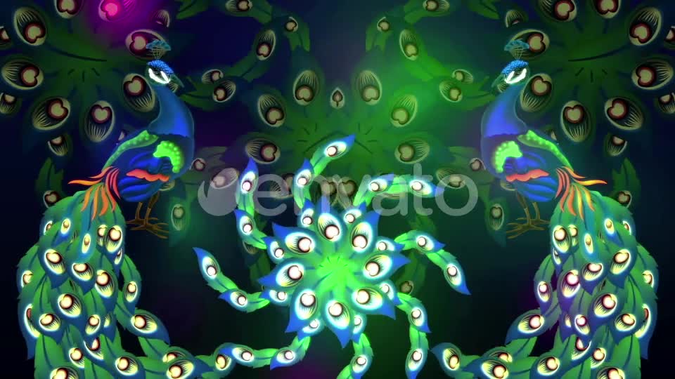 Glowing Peacock Videohive 22199887 Motion Graphics Image 2