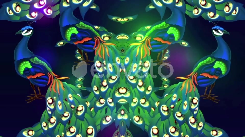 Glowing Peacock Videohive 22199887 Motion Graphics Image 5