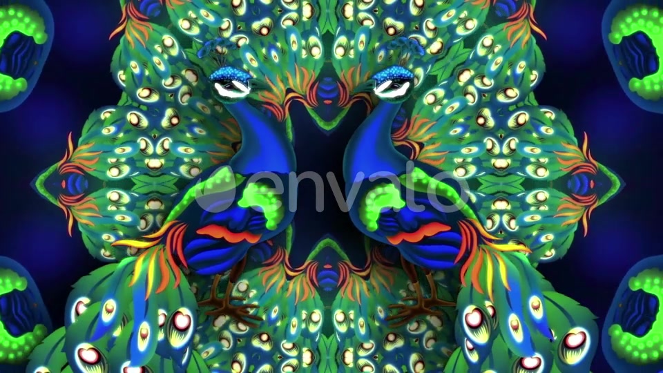 Glowing Peacock Videohive 22199887 Motion Graphics Image 7