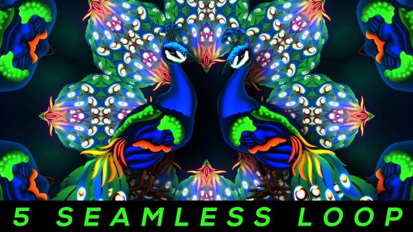 Glowing Peacock - 22199887 Videohive Download