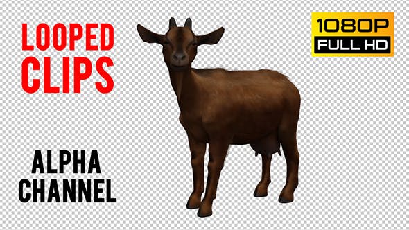 Goat Looped 3 - 20704799 Download Videohive