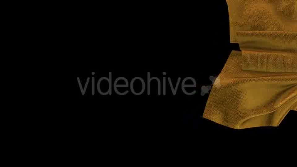 Gold Cloth Reveal 3 Videohive 17936341 Motion Graphics Image 9