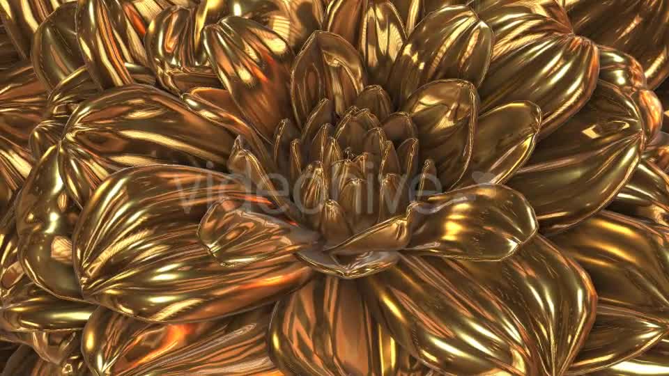 Gold Flower Videohive 20189703 Motion Graphics Image 1