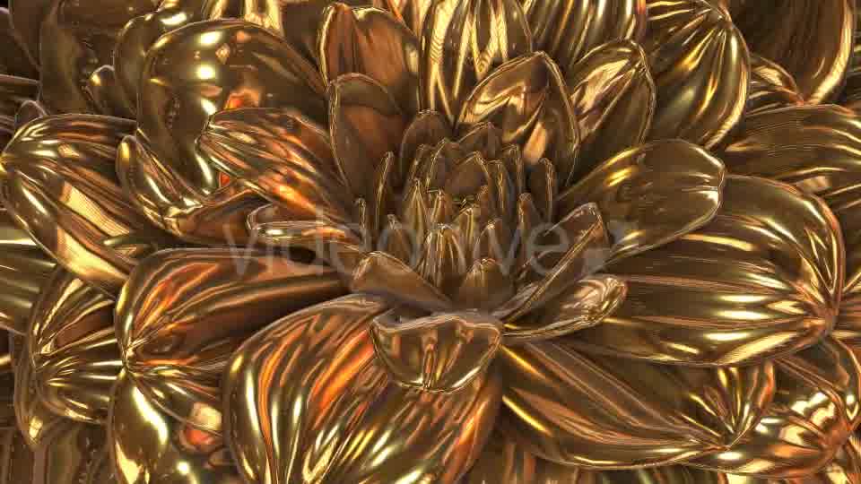 Gold Flower Videohive 20189703 Motion Graphics Image 10