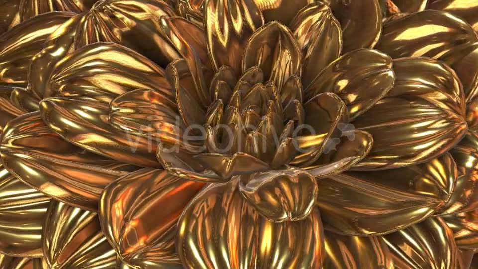 Gold Flower Videohive 20189703 Motion Graphics Image 2