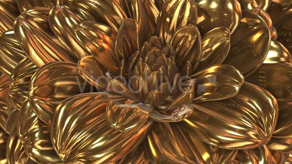 Gold Flower Videohive 20189703 Motion Graphics Image 3
