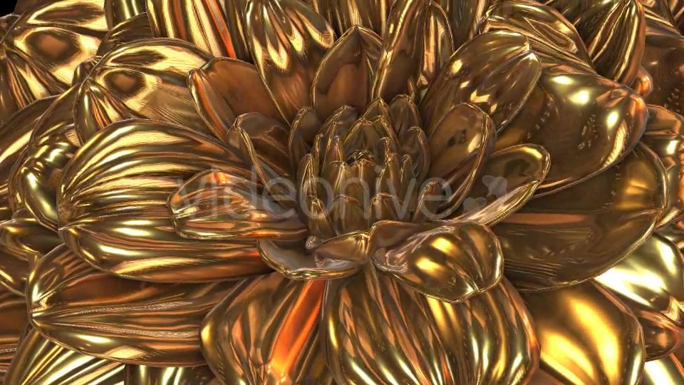 Gold Flower Videohive 20189703 Motion Graphics Image 4