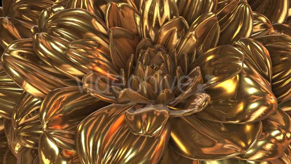 Gold Flower Videohive 20189703 Motion Graphics Image 5