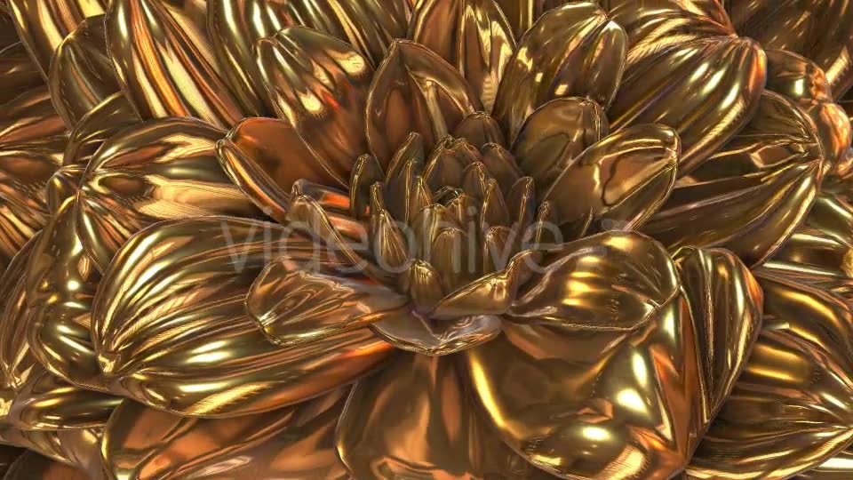 Gold Flower Videohive 20189703 Motion Graphics Image 6