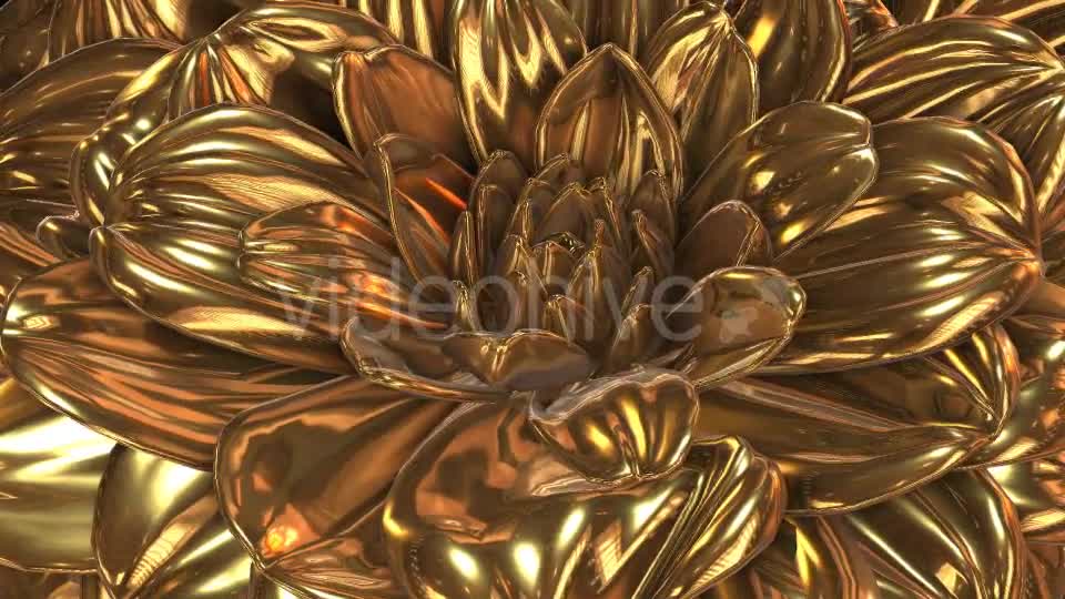 Gold Flower Videohive 20189703 Motion Graphics Image 7