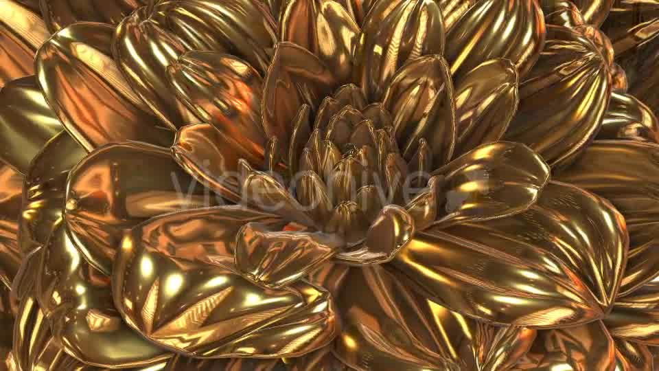 Gold Flower Videohive 20189703 Motion Graphics Image 8
