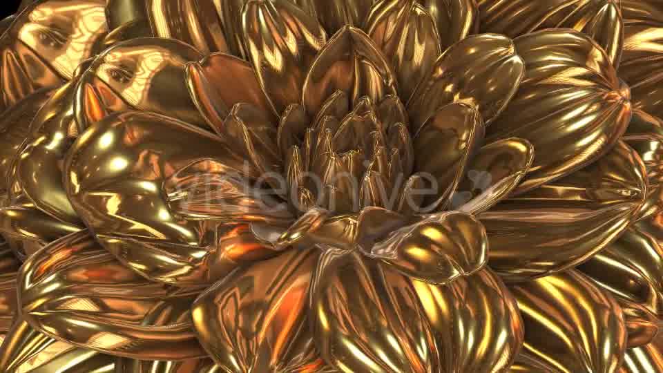 Gold Flower Videohive 20189703 Motion Graphics Image 9
