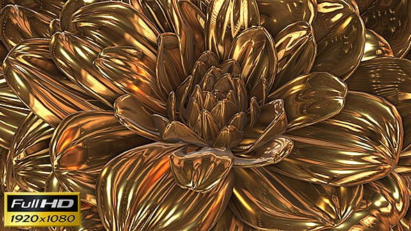 Gold Flower - 20189703 Videohive Download