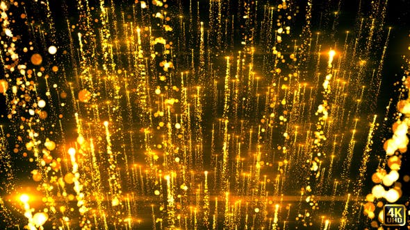 Gold Lights Up - 22264332 Download Videohive