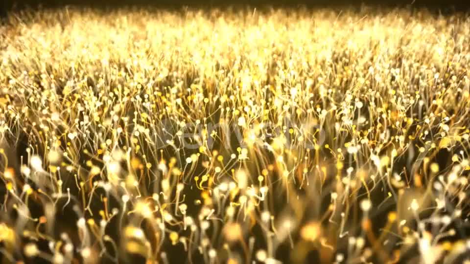 Gold Particle Abstract Background Videohive 21695630 Motion Graphics Image 1