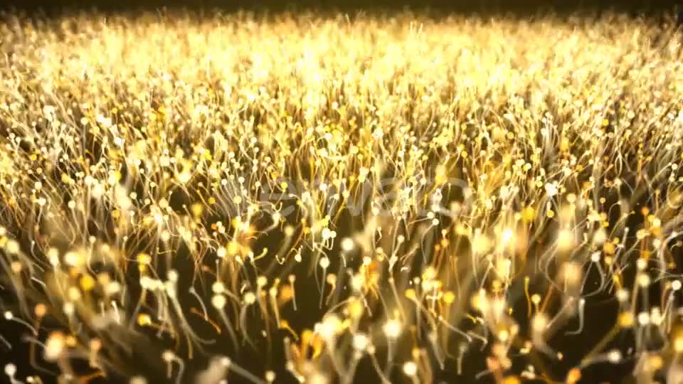 Gold Particle Abstract Background Videohive 21695630 Motion Graphics Image 2
