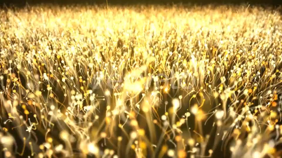 Gold Particle Abstract Background Videohive 21695630 Motion Graphics Image 3