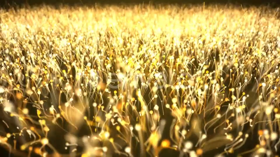 Gold Particle Abstract Background Videohive 21695630 Motion Graphics Image 4