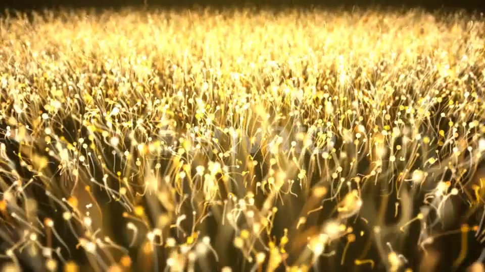 Gold Particle Abstract Background Videohive 21695630 Motion Graphics Image 5