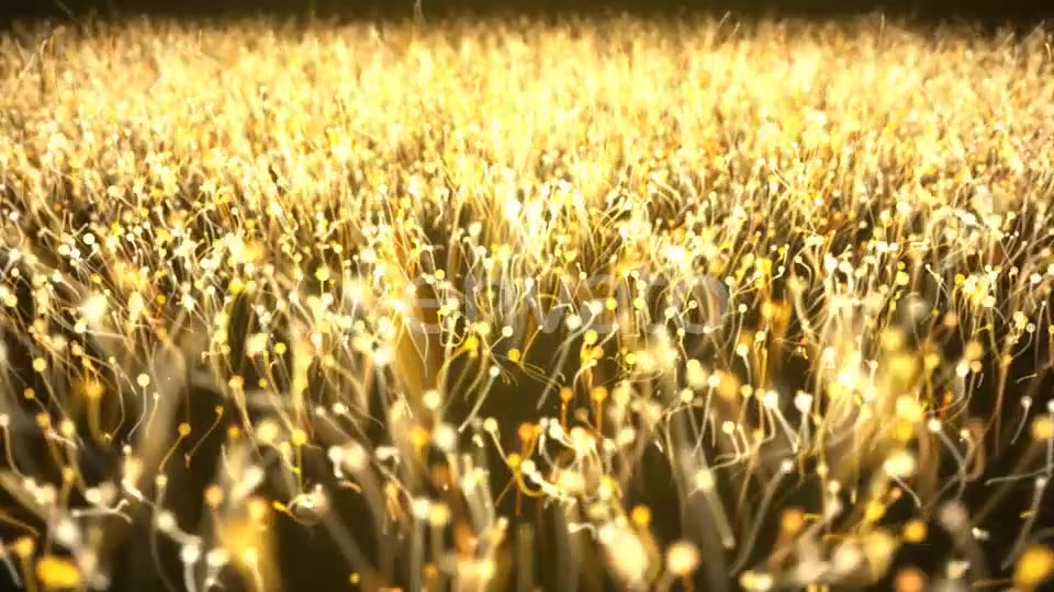 Gold Particle Abstract Background Videohive 21695630 Motion Graphics Image 6