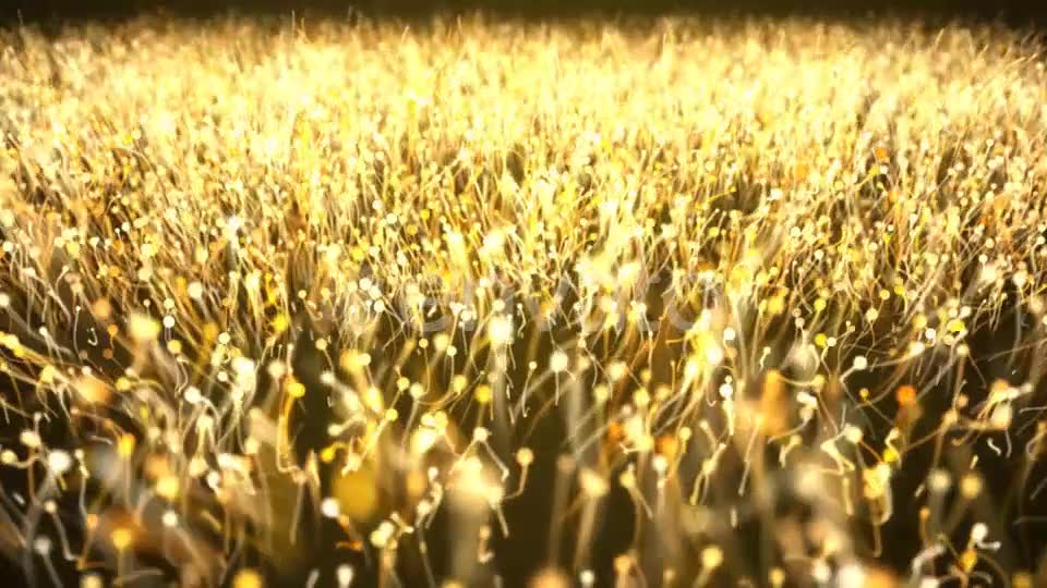 Gold Particle Abstract Background Videohive 21695630 Motion Graphics Image 7