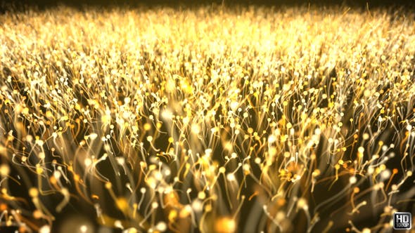 Gold Particle Abstract Background - 21695630 Download Videohive