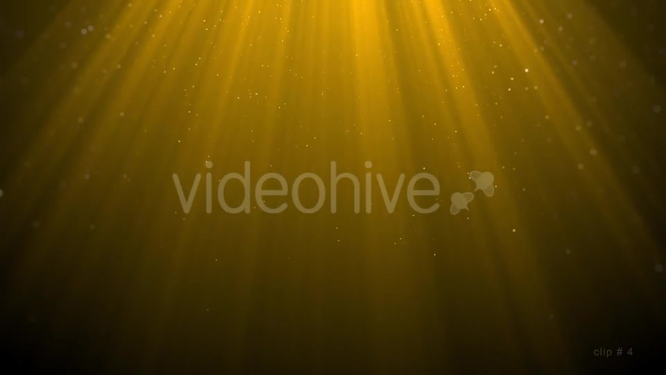 Gold Particle Backgrounds Videohive 20429374 Motion Graphics Image 4