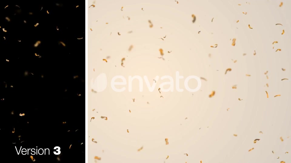 Gold Particles Videohive 23311144 Motion Graphics Image 5