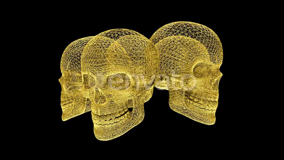 Gold Skull Structures Videohive 23151706 Motion Graphics Image 1