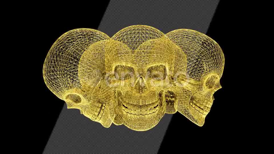 Gold Skull Structures Videohive 23151706 Motion Graphics Image 10