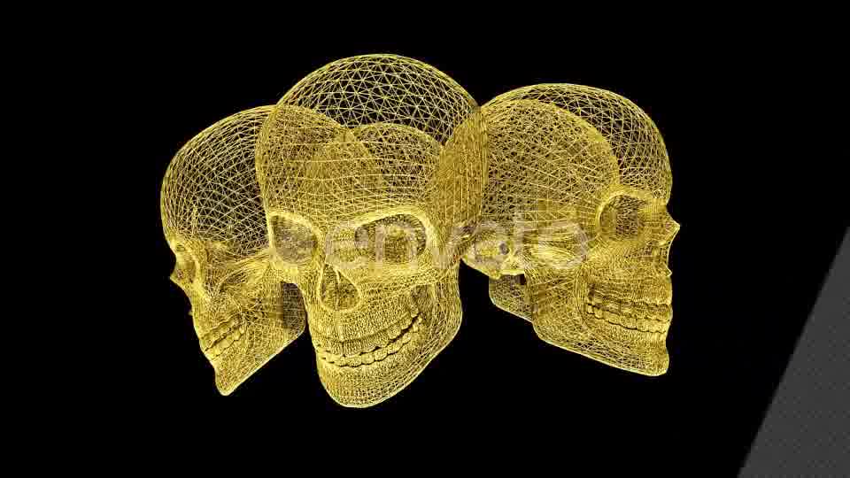 Gold Skull Structures Videohive 23151706 Motion Graphics Image 12