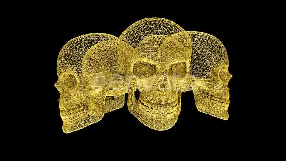 Gold Skull Structures Videohive 23151706 Motion Graphics Image 13