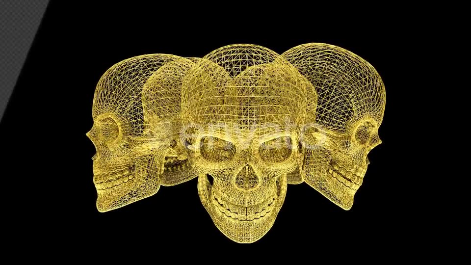 Gold Skull Structures Videohive 23151706 Motion Graphics Image 2