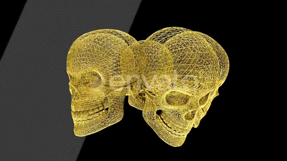 Gold Skull Structures Videohive 23151706 Motion Graphics Image 3