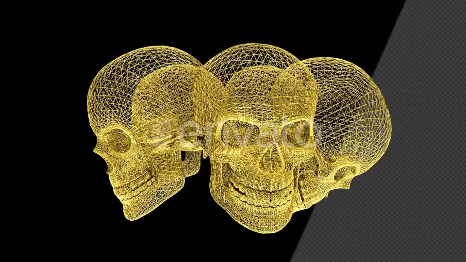 Gold Skull Structures Videohive 23151706 Motion Graphics Image 5