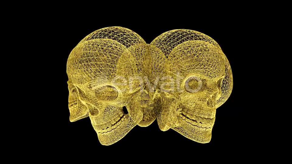 Gold Skull Structures Videohive 23151706 Motion Graphics Image 6