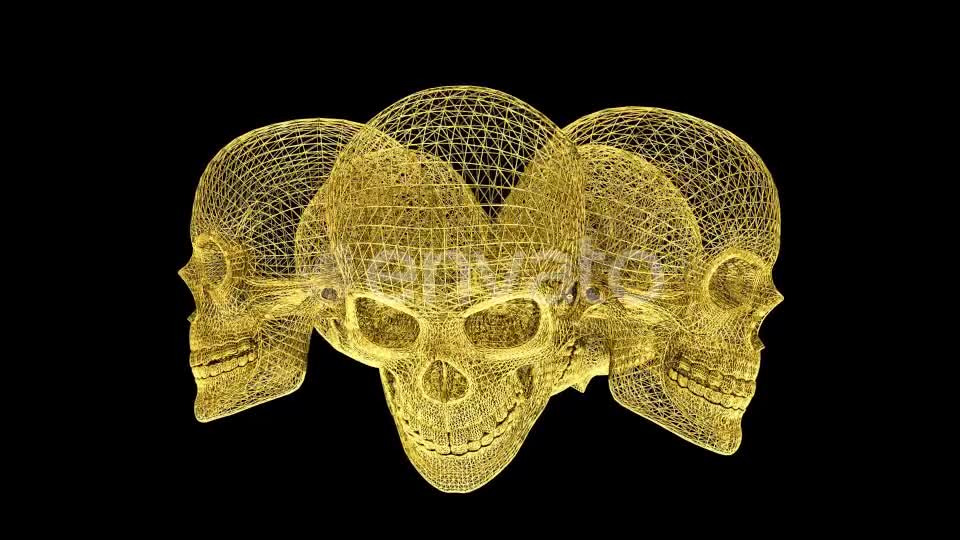 Gold Skull Structures Videohive 23151706 Motion Graphics Image 7