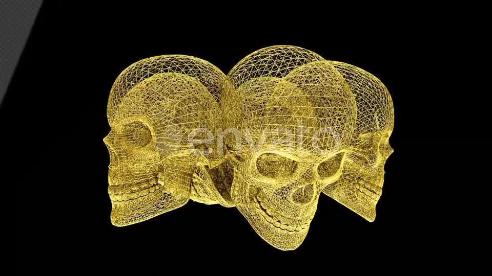 Gold Skull Structures Videohive 23151706 Motion Graphics Image 8