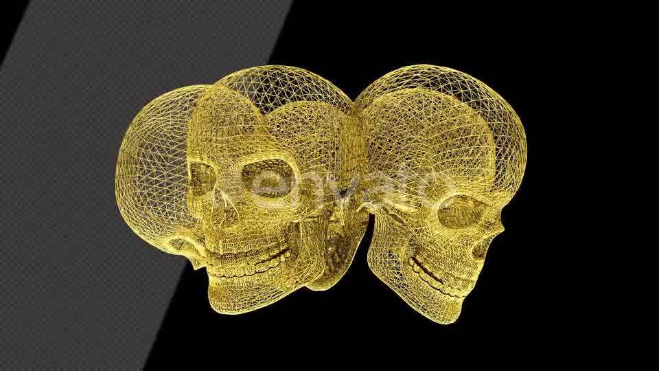 Gold Skull Structures Videohive 23151706 Motion Graphics Image 9