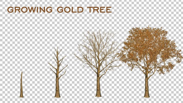 Gold Tree Growing - Videohive Download 19460996